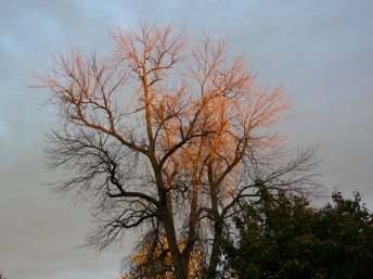 DSCN2075